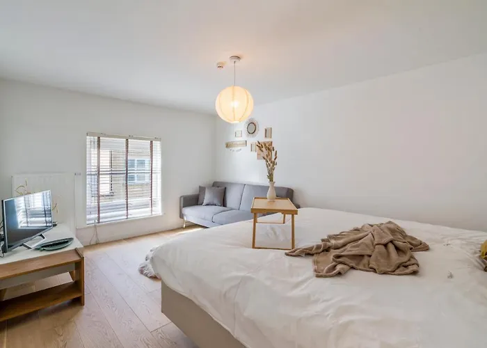 Sersea - Spacious House In With Garage Ostende